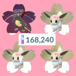 色違い✨桜イーブイ3匹、リザードンなど💡ボックス全300匹💡キラポケモン💡距離ポケモン💡