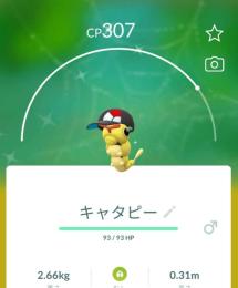 おんっどぴっどさま専用