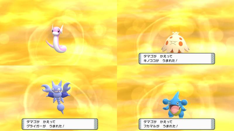 確定たまご18個セット 即日対応可 ポケモンbdspのアカウント売買サイト