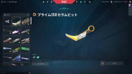 【カオス、Champions2024、Arcane、プライムカラムビット等】引退アカウント