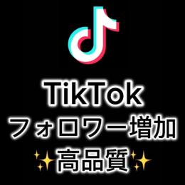【即日対応】TikTokフォロワー300人以上増加✨