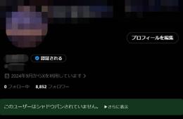 【Xアダアフィ/裏垢女子/夜職等】 ALL日本人8,852人 月1,000万インプ Xアカウント