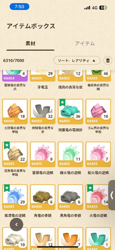 出品画像
