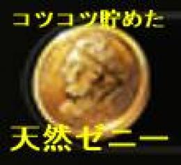 コツコツ貯めた5000万ゼニー　全サーバー対応