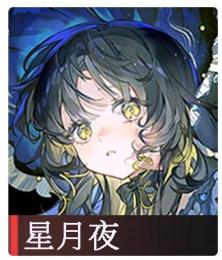 新人募集10連未使用】星月夜