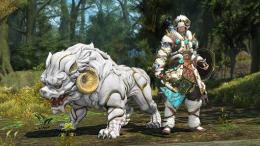 「魔獣使い」完全攻略代行：Lv1-50最速育成・全青色クエスト完了・魔獣図鑑コンプリートプラン