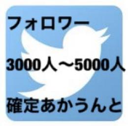 【ガチ🔥最安値🔥】フォロワー3000〜5000人気取り垢