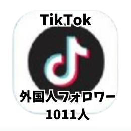 もんガチ様専用 TikTok 🍀フォロワー 1011人 🍀減少保証つき！