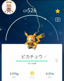 《非対面トレード》✨色違いマスクド.ピカチュウ