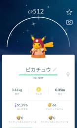 げーぴちさま専用