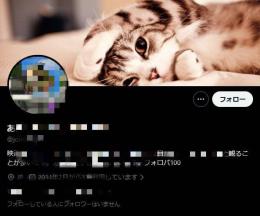 【裏垢女子ジャンル育成】事業活用可｜基盤完成 日本人フォロワー