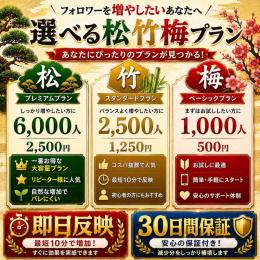 📈フォロワー1000人・2500人・6000人増加✨   用途に合わせて選べるプラン