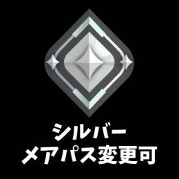 シルバー メアパス即変更可