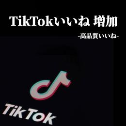 TikTok 1万人 高品質いいね 増加代行