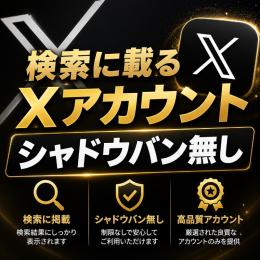 【💫絶対に検索・最新に載る❤️‍🔥】Twitterアカ×10 / 業界最高品質❕