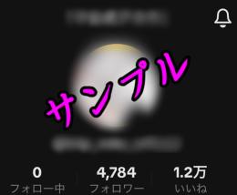 TikTokShop URL追加 LIVE配信可能 自己産引退アカウント