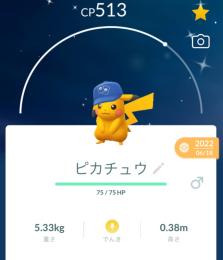 ポケカ帽ピカチュウ