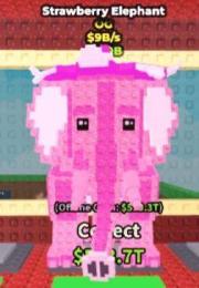 カオス strawberry elephant いちご変異付き