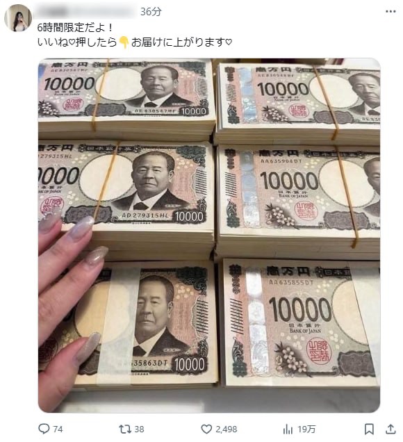 出品画像