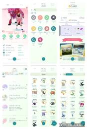 ✨激安✨TL43・伝説63体・色違い168体✨