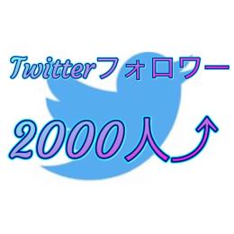 即お渡し！Twitterフォロワー2000⬆シャドウバン無し、減少保証付き