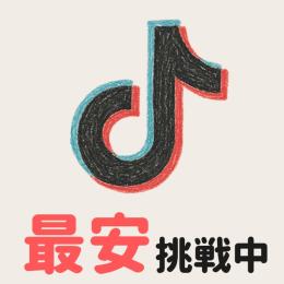 【激安】TikTokアカウント✕１０　メール認証済み