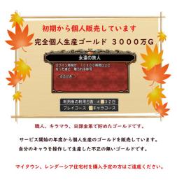 【12年間BAN無】完全個人生産　3000万ゴールド　安全性重視のお取引