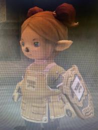 FF11垢　エスカ金　REMA青武器多数　V15クリア　 2億ギル