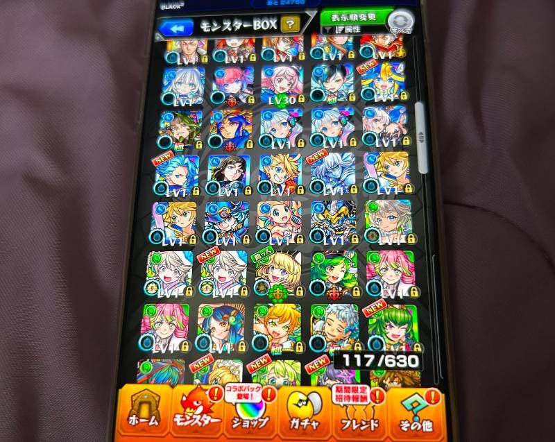 出品画像