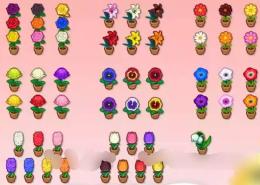 54種類の花（画像通り）