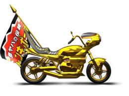 ﾈｲｷｯﾄﾞｺﾞｰﾙﾄﾞ一式 （ﾋﾟﾖﾋﾟﾖﾍｯﾄﾞﾗｲﾄ+ﾄﾝｷﾎﾟｰｸﾌﾗｯｸﾞ付き）