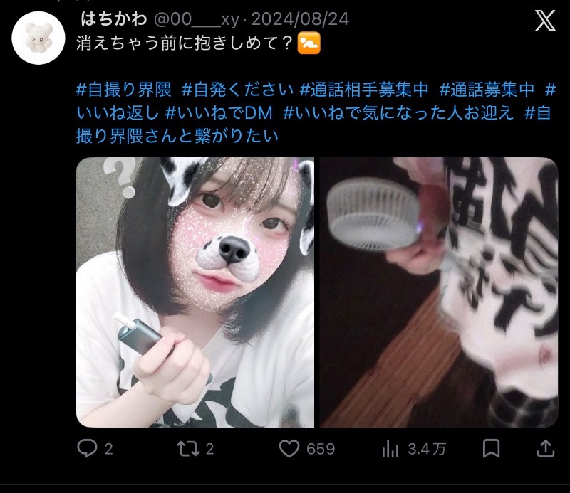 出品画像