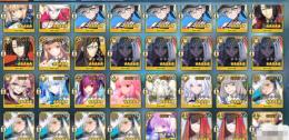 3種類の宝具5+サポート6体+石2313+黒の聖杯*2 アカウント 贩売