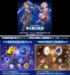 ジョブスキン「蒼を駆る新鋭」  GBVSRパック  シリアルコード