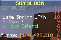 Hypixel Skyblock 10億コイン！ 1m=14円