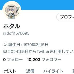 【即購入可】アダルト系Twitterアカウント フォロワー10000人 高インプレッション 高いいね