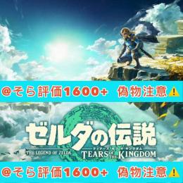 ゼルダの伝説ティアーズ オブ ザ キングダム⚡️任意指定代行🔥初期最強セーブデータ🎀最安値