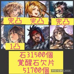🌈【初期垢石31500】FF10コンプ3種完凸 ヴィオラEx2