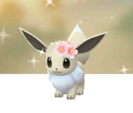  色違い桜イーブイ6匹 他