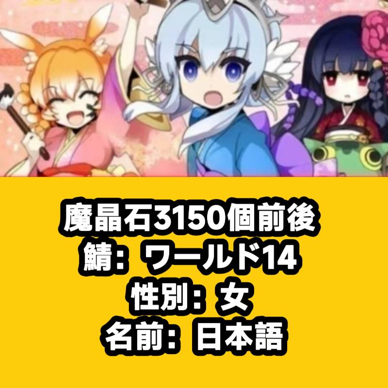 出品画像