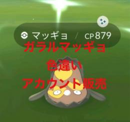 ガラルマッギョ ✨ 色違い ✨ アカウント販売 N