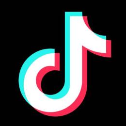 TikTok｜10個セット｜日本登録