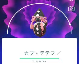 【PTC】【国内産】色違いカプ・テテフ