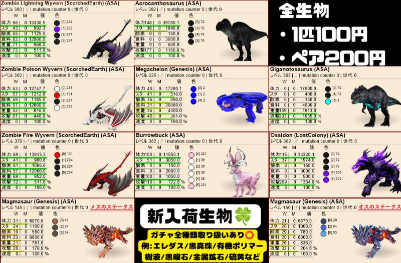 出品画像