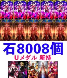 Uメダル 所持 聖晶石8008個 レベル120オルガマリー宝具5