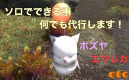 （pvp モグコレetc）ソロで出来るものを何でも代行します