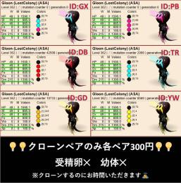 ✨グルーン✨🌈6色🌈【クローンペア300円】
