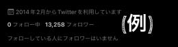 【最安値】Twitter1万フォロワー以上気取りアカウント