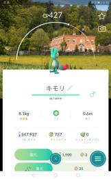 色ロケカ背景キモリなど他通常フランシスコ背景  PTC