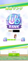 【先着2名様限定】川崎記念リーグオブヒーローズ UE 2000円